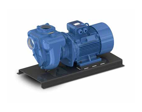 Elettropompe - Vendita e Spedizioni Internazionali | Man.El.Service